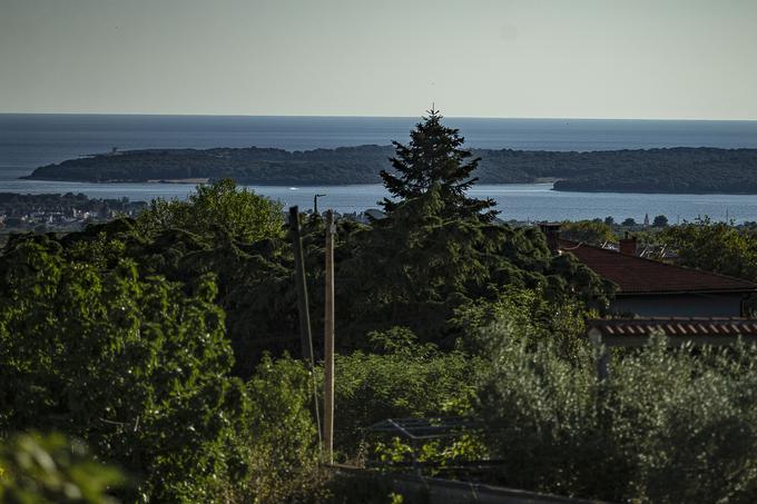 Razgled na Brione z istrske proge pri Vodnjanu, ki mu v italijanščini rečejo Dignano. | Foto: Ana Kovač