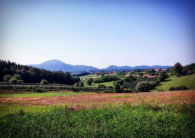 odkrivaj slovenijo vaše reportaže | Foto: 