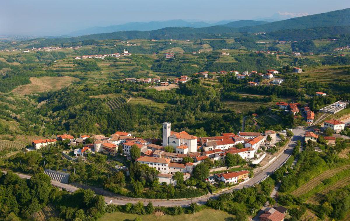 Planet na obisku, Goriška Brda | Tako napete kampanje v Brdih že dolgo ni bilo, vedo povedati domačini.  | Foto https://brda.si/