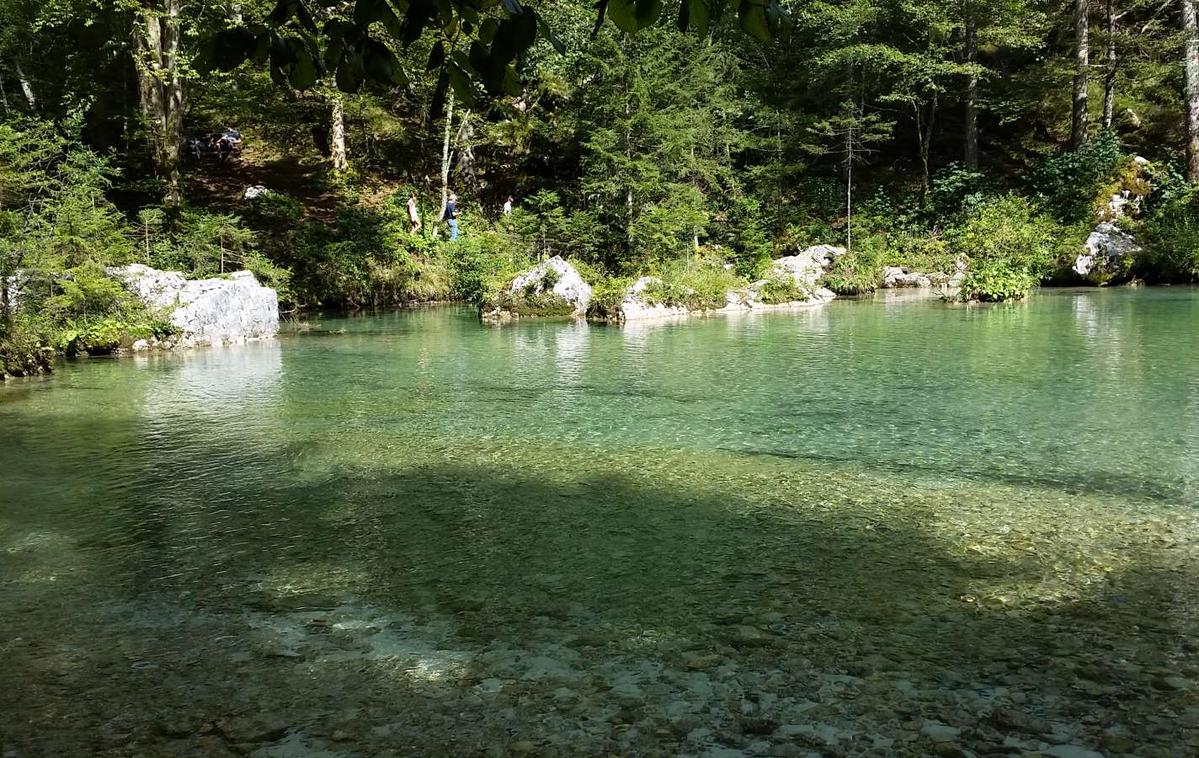 kamniška bistrica | Pogrešano delavko so ponoči našli v strugi kanala Kamniške Bistrice. | Foto STA