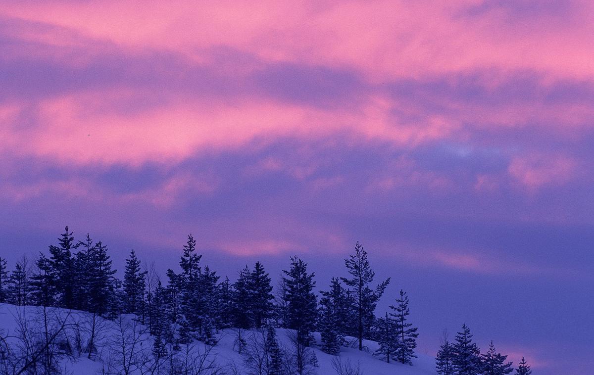 Laponska Švedska | Foto Guliverimage