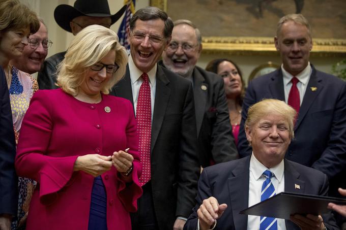 Fotografija Liz Cheney in Donalda Trumpa iz časov, ko sta bila še v razmeroma korektnih odnosih. | Foto: Guliverimage/Vladimir Fedorenko