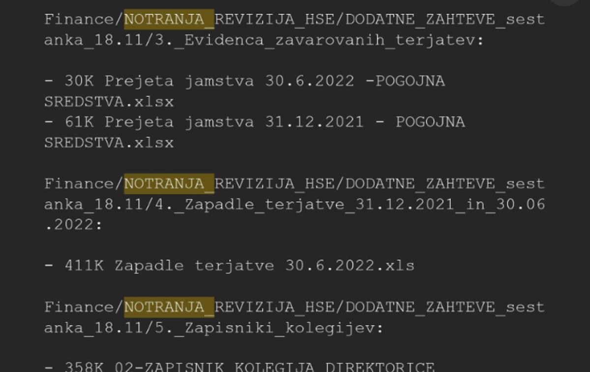 HSE hekerji | Rezultat iskanja po dokumentih HSE s ključno besedo "notranja". | Foto Siol.net