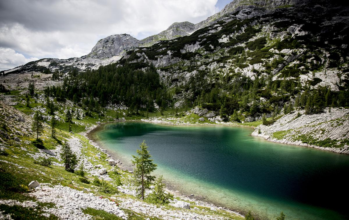 Pot na Zasavsko kočo na Prehodavcih (Prehodavci) | Letošnji obisk Triglavskega narodnega parka je bil do konca prvega avgustovskega tedna "nekako povprečen in ni pretirano velik za ta letni čas". | Foto Ana Kovač