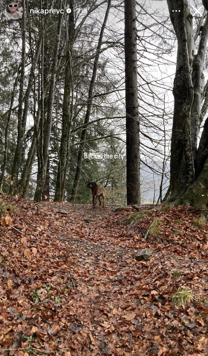 Nika Prevc si polni baterije za Willingen. | Foto: 