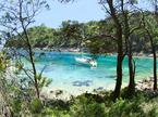 otok Mljet hrvaška obala morje