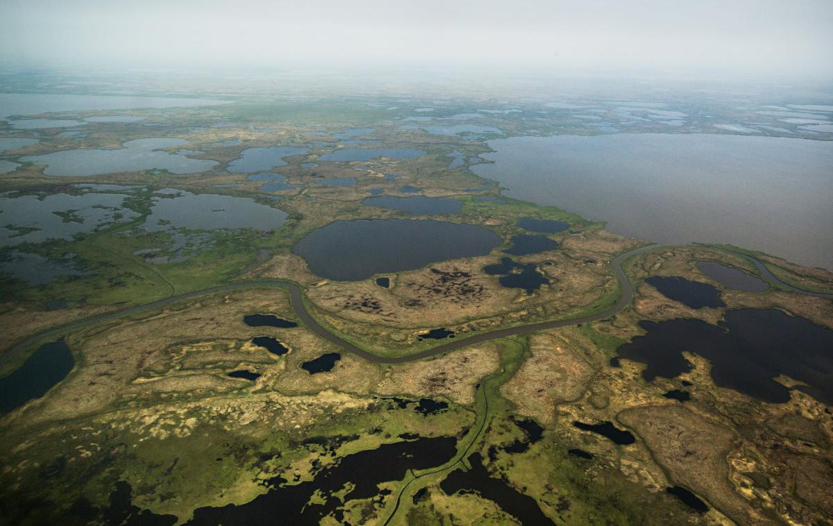 Permafrost | Ena od akutnih posledic odtajanja permafrosta je erozija tal, zaradi česar so ogrožena številna manjša naselja na Aljaski, v Kanadi in v Sibiriji, ki stojijo v neposredni bližini rečnih bregov. | Foto Getty Images