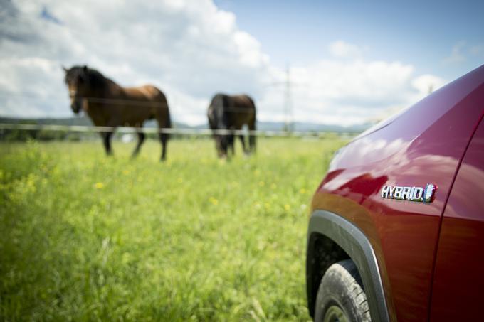 Hibride Toyota odlikujejo rekordno nizki izpusti ogljikovega dioksida. Kadar hibridno vozilo deluje na električni pogon, so njegove emisije nične. | Foto: Ana Kovač