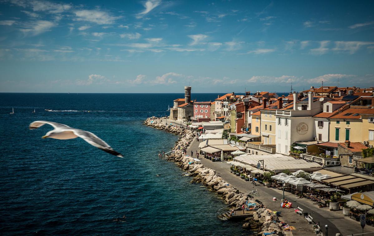 Piran | Plavalna trasa mega triatlona obkroži tudi piranski rt. | Foto Vid Ponikvar