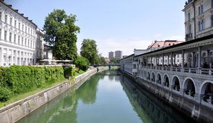 Ljubljanska tržnica je mestni dogodek zase, zdaj še z novim dogajanjem