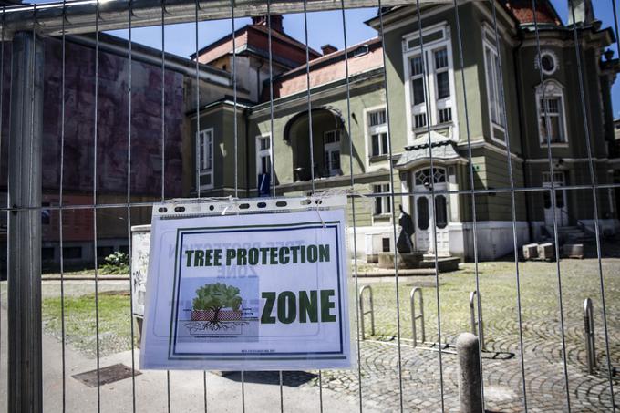 Sekanje dreves pred ljubljansko Dramo. Drama. | Foto: Bojan Puhek