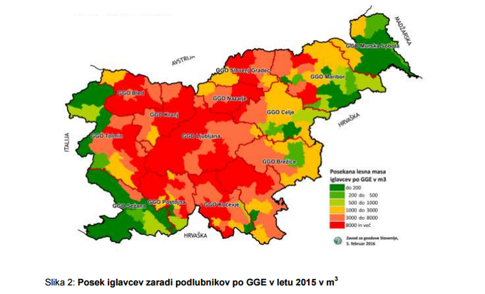 Lubadar posek | Foto: Zavod za gozdove Slovenije