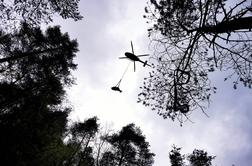 Gorski reševalci iz tolmuna s helikopterjem rešili podhlajenega mladega bika #foto #video