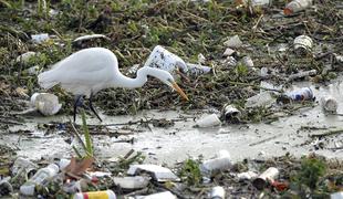 Tudi Slovenija je zakopana v plastiko, uporabo moramo zmanjšati #video