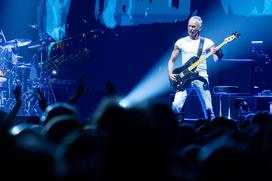 Koncert Sting, Stožice