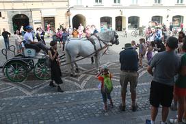 konji lipicanci ljubljana