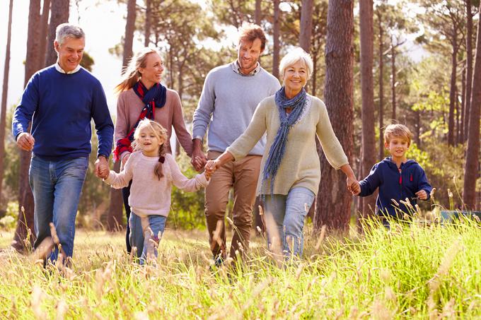 kolki arbor mea | Foto: Shutterstock