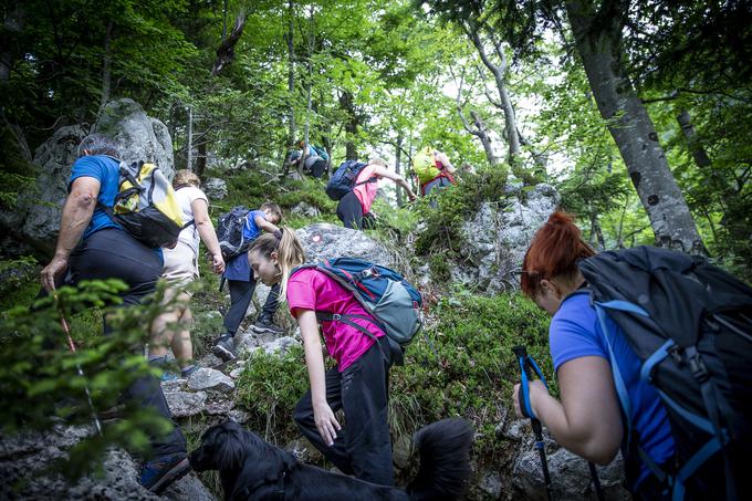 Novinarska konferenca pred poletno planinsko sezono | Foto: Ana Kovač