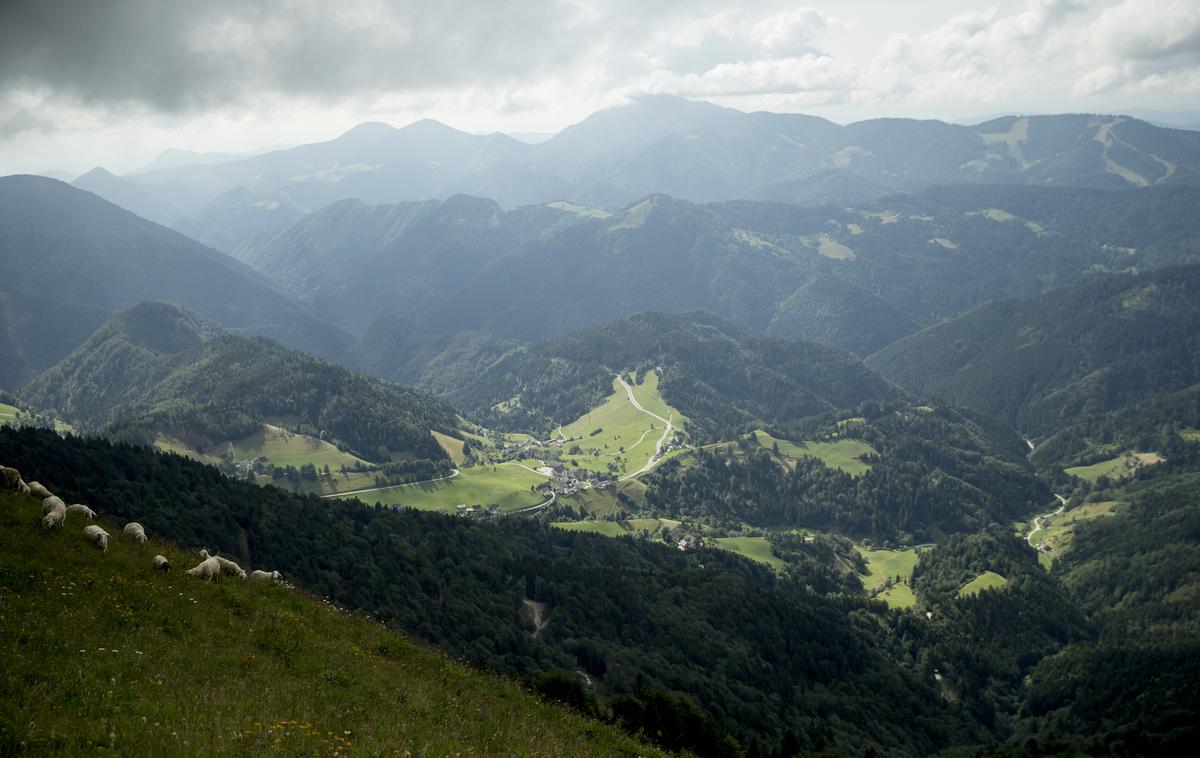 Soriška planina | Foto Ana Kovač