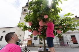 Giro Kobarid priprava na etapo