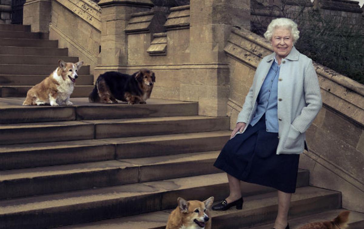 corgi | Valižanski ovčarji so kraljico spremljali ves čas njene 70-letne vladavine. Pogosto so ji sledili iz sobe v sobo, večkrat jih je videti tudi na uradnih fotografijah monarhinje. | Foto Reuters