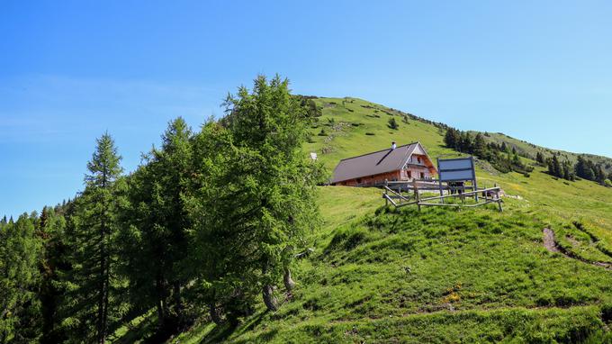 Planina Doška Rožca | Foto: Matej Podgoršek